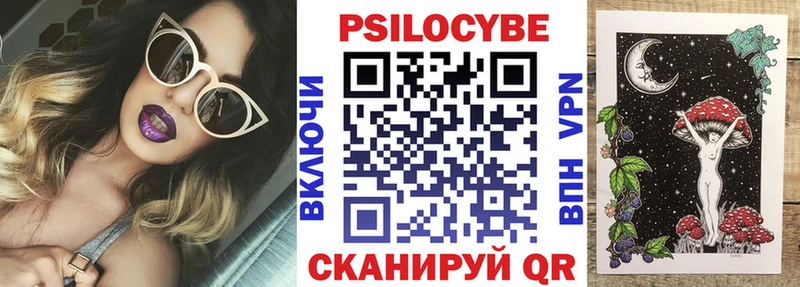 hydra зеркало  Старая Русса  Псилоцибиновые грибы Psilocybine cubensis 